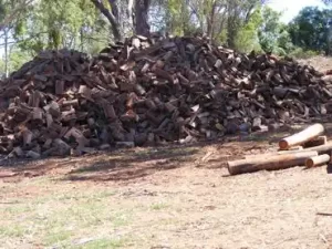 Chopped iron bark woods